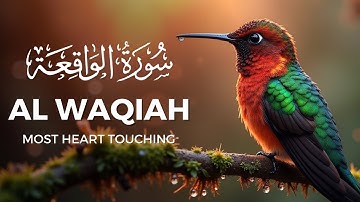 Best Relaxing Surah Al Waqiah سورة الواقعة | Heart Touching Marvelous Quran | Quranic Akhira