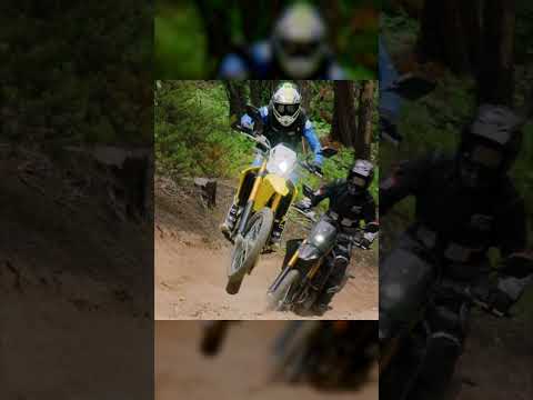 Dual Sport or