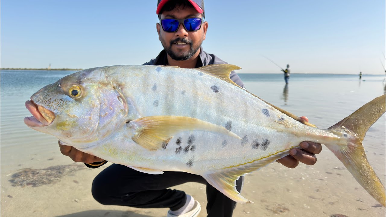 4.3 KG GT Catch in Abu Dhabi 🔥 | Epic Shore Fishing Fight | UAE Fishing#abudhabifishing #fishing #fi