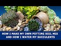 How I make my own Potting Soil Mix and How I water my Succulents