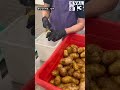 Sinclair Day of Service at Food for Lane County!