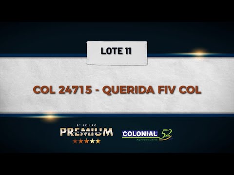 LOTE 11 COL 24715