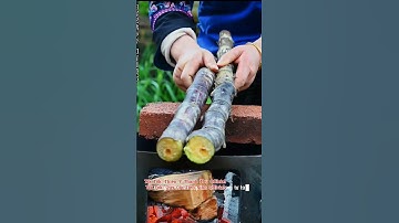 Bạn biết công dụng của Nước Mía Nướng chưa?