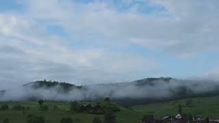 4k  Free Copyright Fogging Landscape Forest Grasslands Video screenshot 4