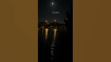 حسام حبيب Explore عمرو دياب اغاني حالات واتس اب واحشني ومش رح اقول حالات واتس حب 