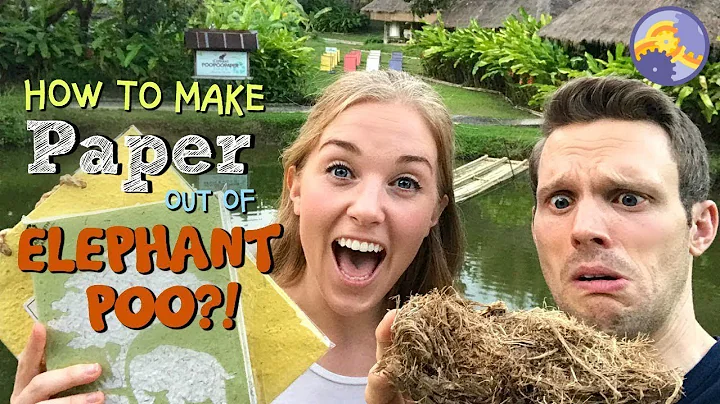 How to make Paper out of Elephant Poo?! | Maddie M...