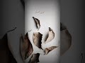لاتبتئس ربي معك 