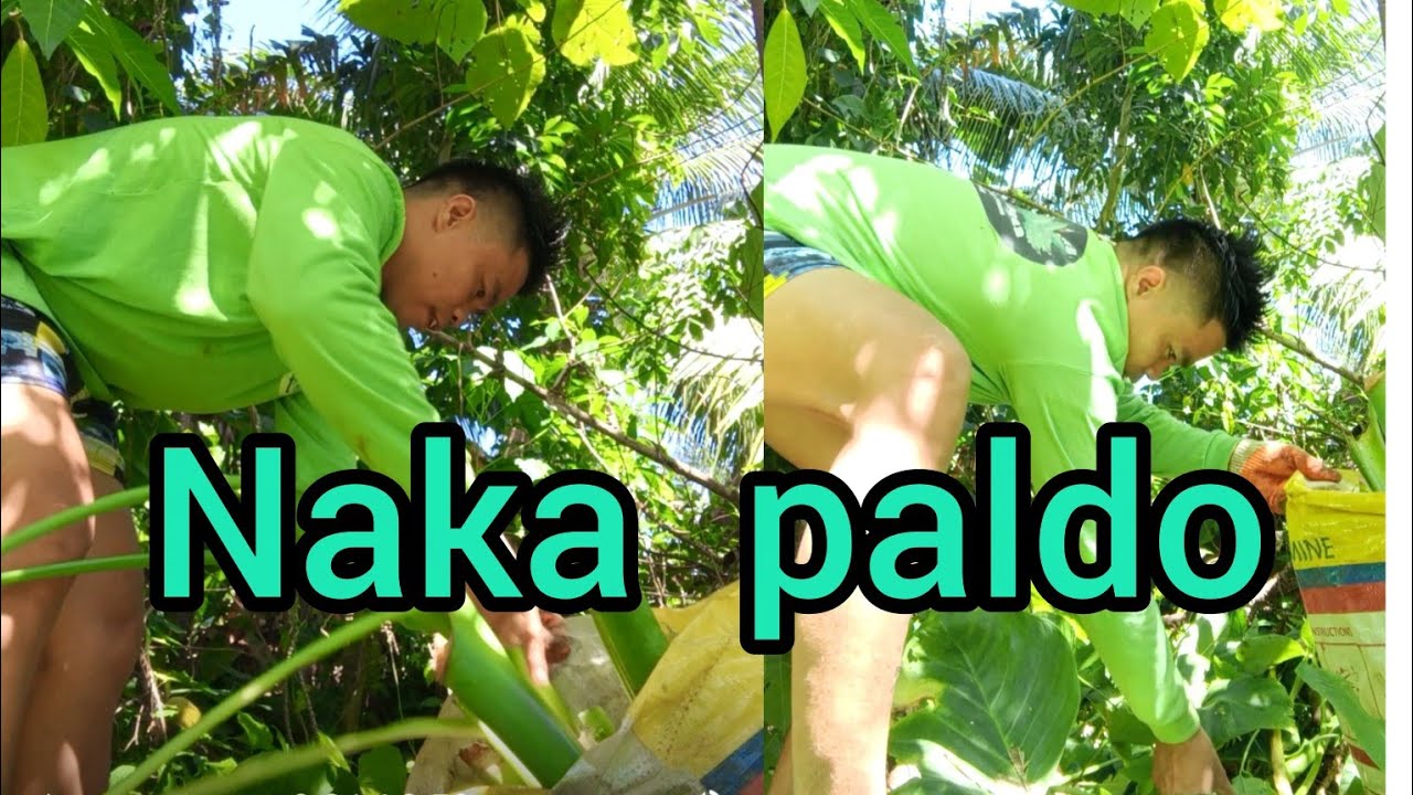 MAKA PALDO NAPOD SA SCATTER DODONG