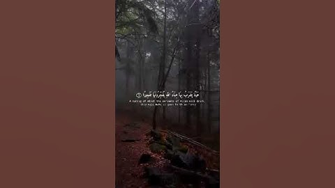 ما هو اسم القارئ