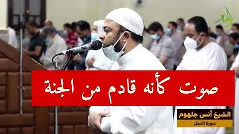 {واصبر وما صبرك إلا بالله} تلاوة هادئة برتم الشباب الجميل لن تمل من تكرارها الشيخ أنس جلهوم