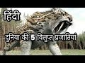 दुनिया की 5 विलुप्त प्रजातियां || Top 5 Extinct Animals of the world hindi|| vilupt janwar