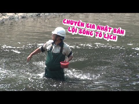 Video Chuyên gia Nhật Bản lội bùn đen làm sạch sông Tô Lịch... - youtube