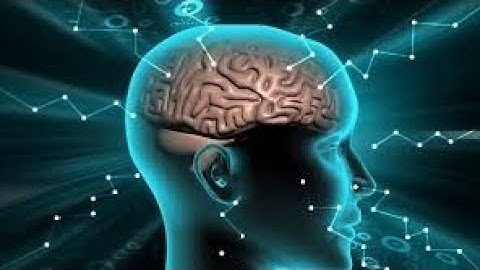 5 Simple presuppositions to improve your life through NLP