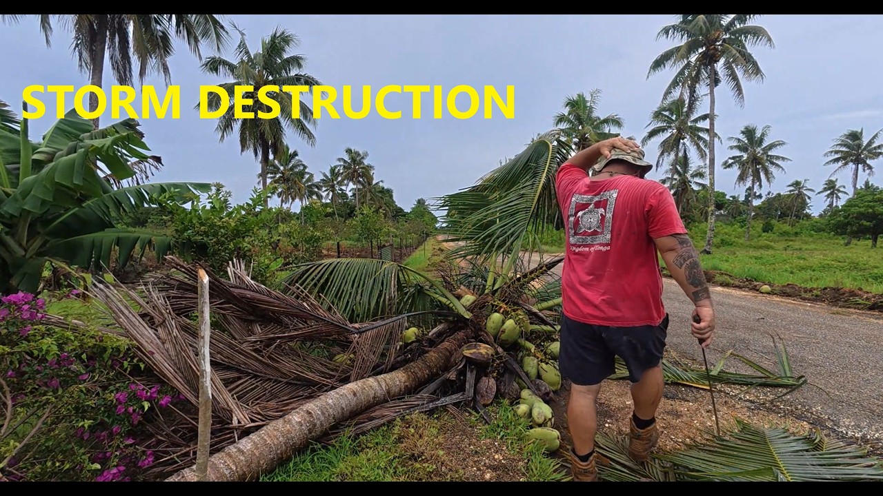 STORM AFTERMATH: Destroyed Fence & Fallen Trees (Total Chaos!)