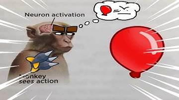 Can you beat bloons TD 6 with only Dart monkeys?