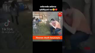 Whatsapp Ucun Maraqli Statuslar Sevgiye Aid Video Sounds App 2021 Status Ucun Video,Menali Video