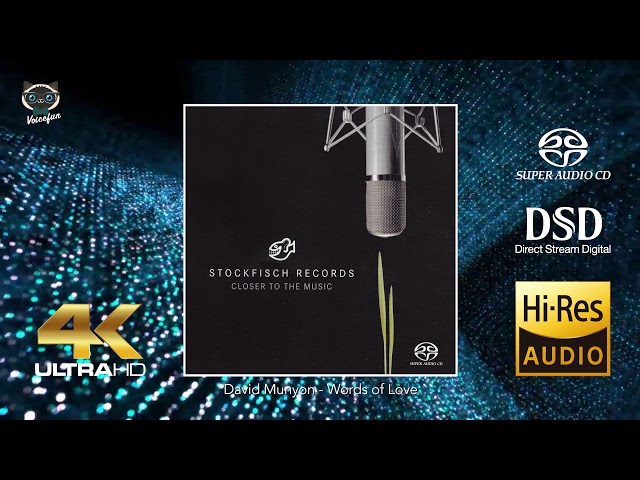 David Munyon - Kata-kata Cinta (suara audiophile 4K Hi-End) class=