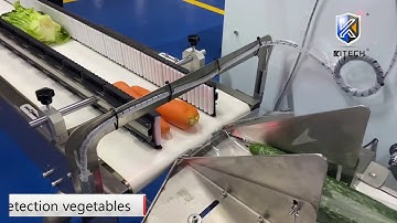 Autoamtic Servo Control Pillow Vegetable and fruit Packaging Packing Machine