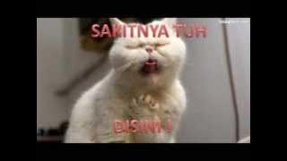 Download lagu Sakitnya Tuh Disini - Cita Citata (DJ Hendrix Noya Remix)