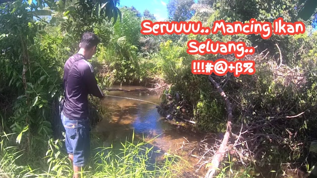 Mancing Ikan Seluang 