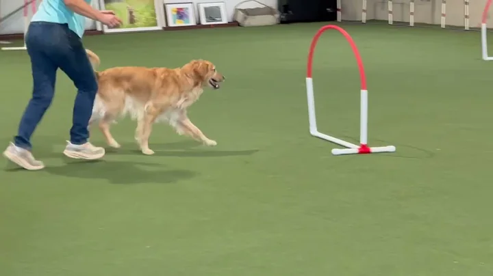 Yazoo Nov 2025 Grounders Novice