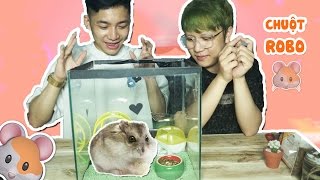 ROBO CHUỘT - THÚ CƯNG MỚI CỦA HÀNH TINH ĐỒ CHƠI (Đến Thăm Vương Quốc Hamster)