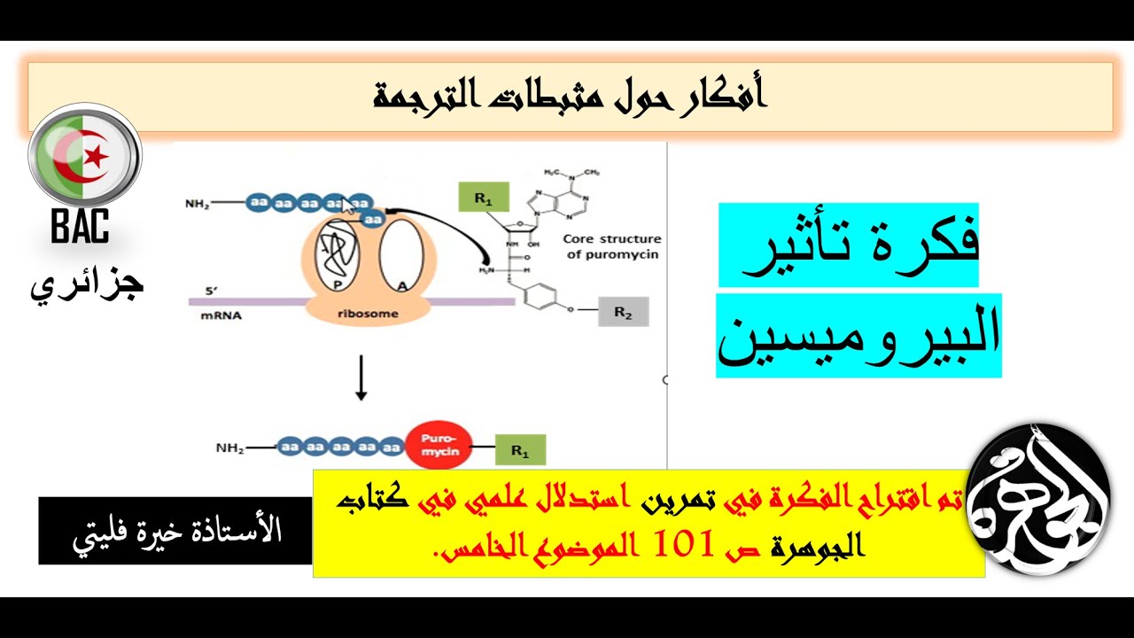 علوم طبيعية  تذكير بافكار الوحدة الأولى مع الفكرة الاولى حول البيروميسين