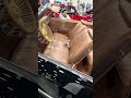 Triple gold Daytons