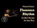 Flamenco Rhythm Guitar Lesson [12 Bar Strum In Any Key]
