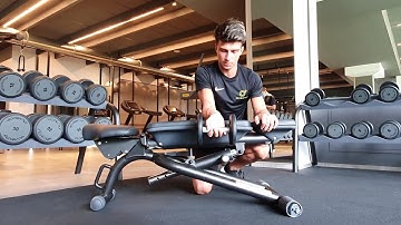 Palms down dumbbell wrist curl over a bench