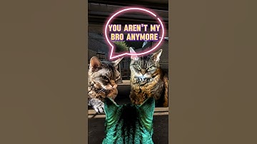 CS2: Team play with friends #skinclub