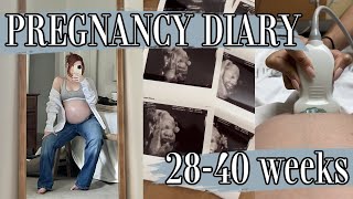 THIRD TRIMESTER | baby shower, doctor visits, pregnant belly updates, 4D scan + past my due date!