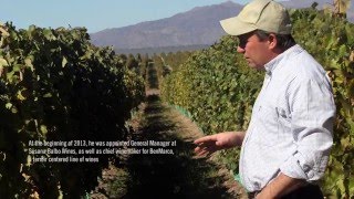 Benmarco - Shoot Removal In Gualtallary