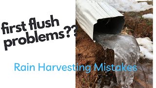 MISTAKES with first flush rain harvesting filters!