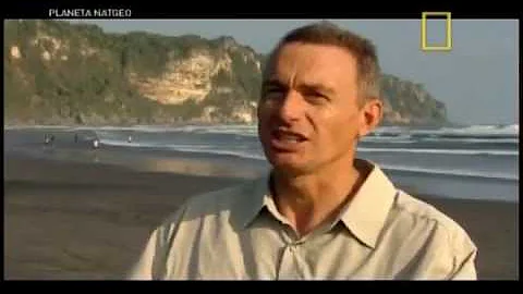 Como são chamadas as áreas de encontro de placas tectônicas?