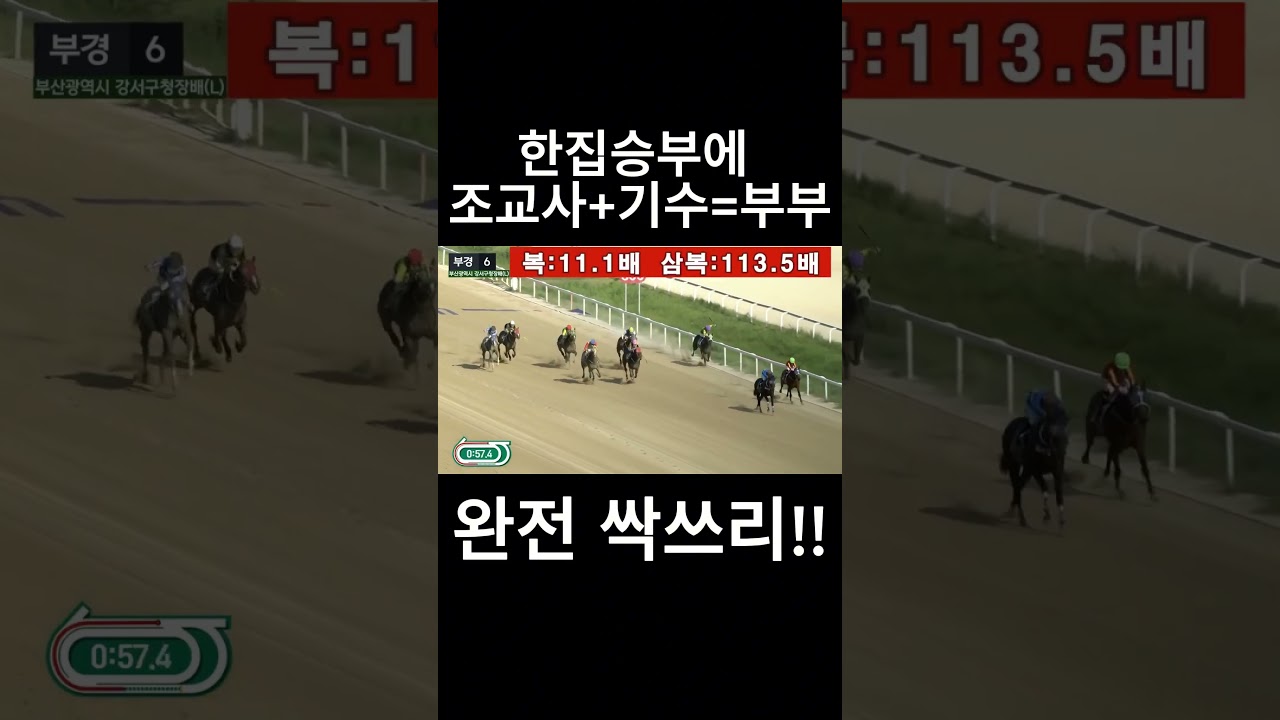 한집승부에  조교사+기수=부부  #경마  #경마예상  #경마방송  #경마예상방송  #서울경마  #금요경마  #토요경마  #일요경마 #경마장