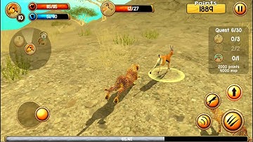 Wild Cheetah Sim 3D Android Gameplay  HD #1