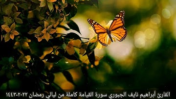 القارئ أبراهيم نايف الجبوري سورة القيامة كاملة من ليالي رمضان ٢٠٢٢-١٤٤٣