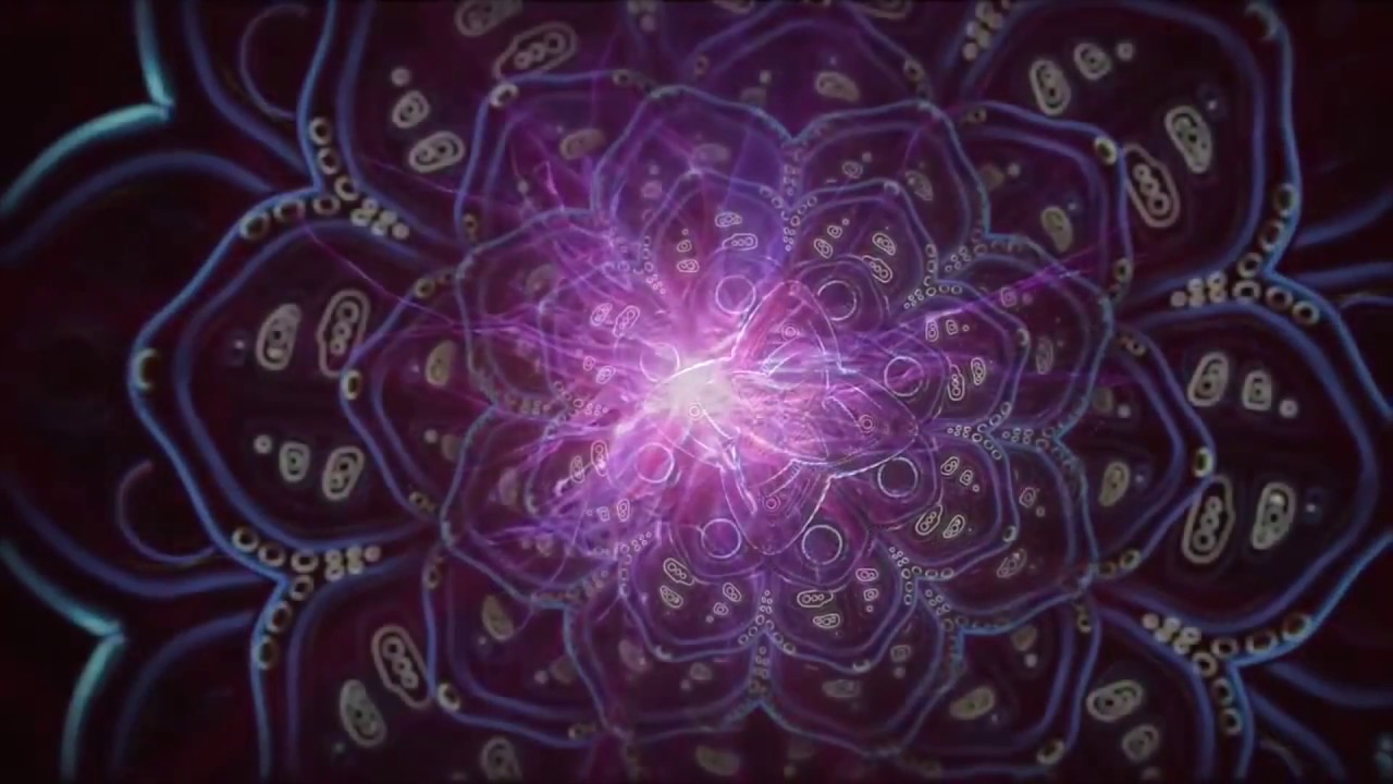 Теренс МакКенна — Волшебные растения - YouTube