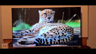 Smart Tv Toshiba 55 Polegadas - 55c350kb