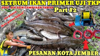 detik detik setrum primer uji tkp di campuran air asin dan tawar panen gabus babon detik detik setrum primer uji tkp di campuran air asin dan tawar panen gabus babon