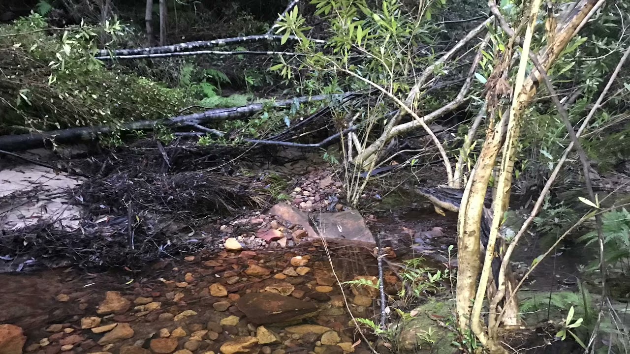 Red Hands Cave Trail Run - Glenbrook National Park