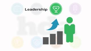 HDA - How We Help Organisations