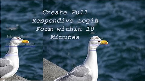 Create full Responsive Login Form within 10 Minutes Using HTML & CSS