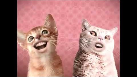 Preview 2 Numa Cat Extended^4