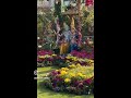 🌸 Vrindavan Dham | Shri Krishna Ki Leela Bhoomi