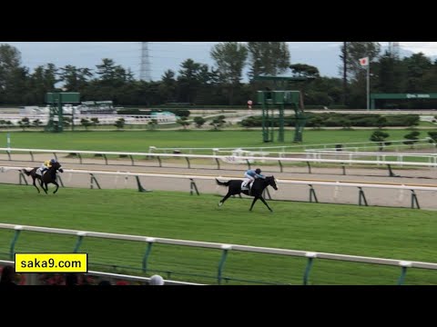 現地】イクイノックス 新馬戦 メイクデビュー新潟 - YouTube
