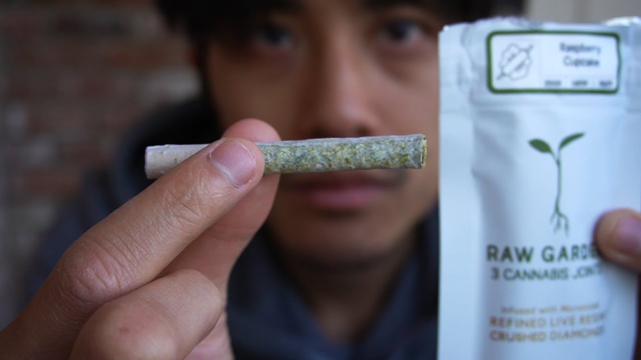 TRYING RAW GARDEN'S FIRST PREROLLS EVER YouTube