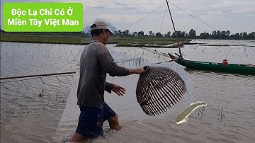 Push the cone to catch fish during the high water season in the West