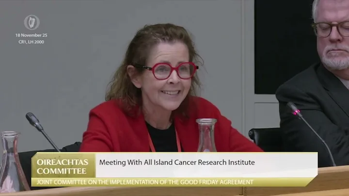 AICRI Addresses the Joint Committee on the Implementation of the Good Friday Agreement 18th Nov 2025